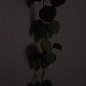 Meet your Posher, Lou